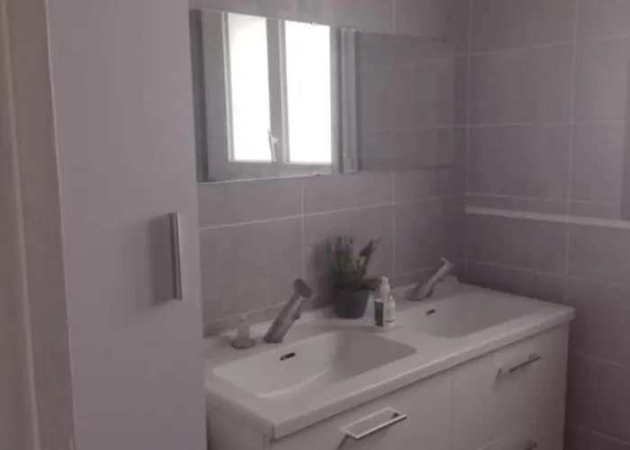 Проживание в семье Le Brossolette *